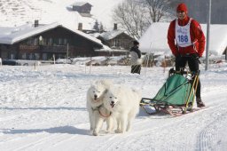 Lenk 2012 SM
